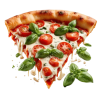 Shahi pizza slice